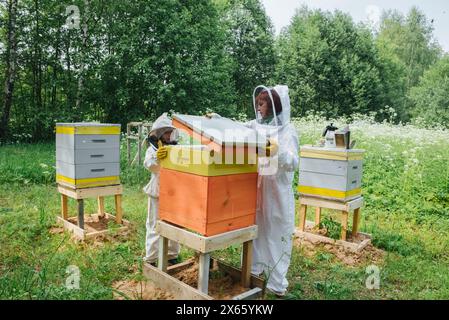 Die Imker im Garten kümmern sich bei sonnigem Wetter um die Bienenstöcke Stockfoto