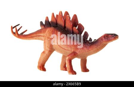 Realistisches plastisches Modell eines Stegosaurus-Dinosauriers auf weißem Hintergrund. Stockfoto