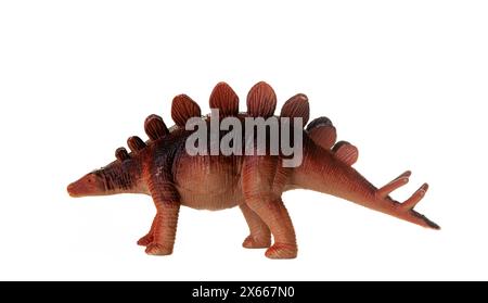 Realistisches plastisches Modell eines Stegosaurus-Dinosauriers auf weißem Hintergrund. Stockfoto