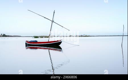 Der Naturpark Albufera ist ein Naturschutzgebiet in der Nähe von Valencia. Es besteht aus einer flachen Küstenlagune, die von 223 km2 Reisfeldern umgeben ist. Stockfoto