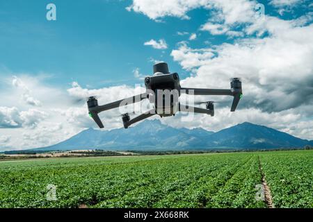 Luftaufnahme einer Drohne, die über den Feldern der Farm moderiert, überwacht, analysiert die Gesundheit der Pflanzen. Landwirtschaftliche Drohne in der modernen Landwirtschaft. Stockfoto