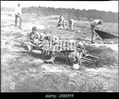 Cold Harbor, Virginia Afroamerikaner sammeln Knochen von Soldaten, die in der Schlacht getötet wurden, Bürgerkriegsfotos 1861-1865 Stockfoto