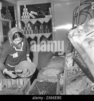 Die Sozialistische Republik Rumänien in den 1970er Jahren Innenraum eines staatlichen Lebensmittelgeschäfts. Stockfoto