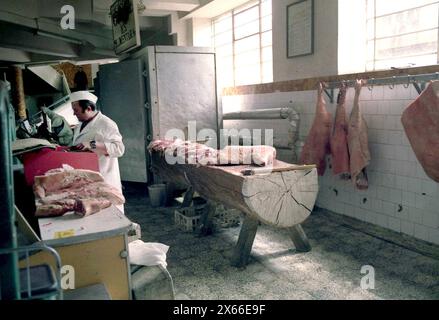 Rumänien, 1990. Wenige Monate nach dem Niedergang des Kommunismus war frisches Fleisch auf Lager, nach Jahrzehnten der Knappheit. Stockfoto