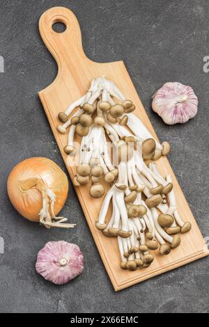 Broun Shimeji Pilze auf Schneidebrett. Zwiebeln und Knoblauch auf dem Tisch. Schwarzer Hintergrund. Flache Lagen Stockfoto