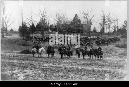 Union Artillerieeinheit posierte mit Kanonen und Pferden, Bürgerkriegsfotos 1861-1865 Stockfoto