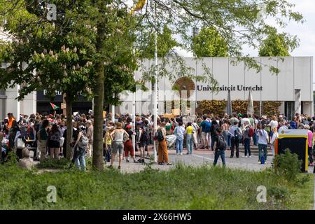 Dutzende Studenten, die gegen den israelisch-palästinensischen Konflikt protestieren, haben sich im Wissenschaftspark Utrecht vor dem Verwaltungsgebäude versammelt. Sie fordern die Universität auf, die Beziehungen zu israelischen Instituten, UTRECHT, Niederlande, 13. Mai 2024, ZNM Photography Credit: ZNM Photography/Alamy Live News zu unterbrechen Stockfoto