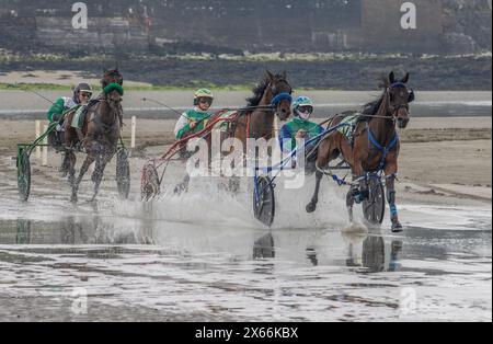 Harness-Rennen am Strand in Harbour View, Kilbrittain, West Cork, Mai 2024 Stockfoto