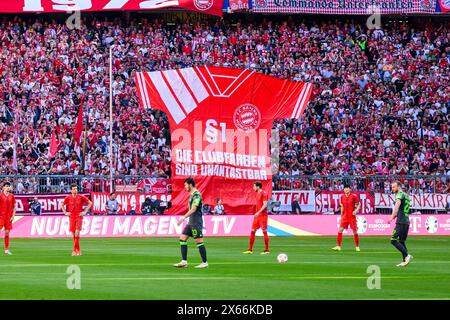 München, Deutschland. Mai 2024. Fußball: Bundesliga, Bayern München - VfL Wolfsburg, Spieltag 33, Allianz Arena. Die Fans des FC Bayern München protestieren mit einem großen Trikot gegen das neue Heimtrikot des FC Bayern München. Hinweis: Tom Weller/dpa – WICHTIGER HINWEIS: gemäß den Vorschriften der DFL Deutscher Fußball-Liga und des DFB Deutscher Fußball-Bundes ist es verboten, im Stadion und/oder des Spiels aufgenommene Fotografien in Form von sequenziellen Bildern und/oder videoähnlichen Fotoserien zu verwenden oder zu nutzen./dpa/Alamy Live News Stockfoto