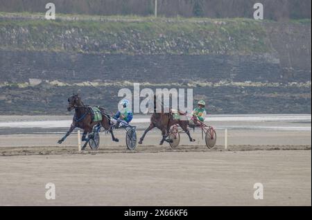 Harness-Rennen am Strand in Harbour View, Kilbrittain, West Cork, Mai 2024 Stockfoto