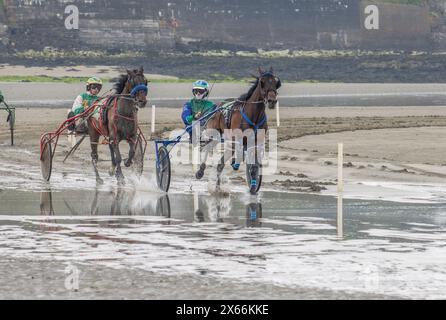 Harness-Rennen am Strand in Harbour View, Kilbrittain, West Cork, Mai 2024 Stockfoto