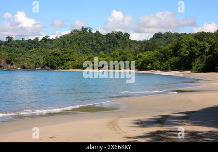 Idyllischer tropischer Strand im Manuel Antonio Nationalpark, Costa Rica, Mittelamerika. Stockfoto