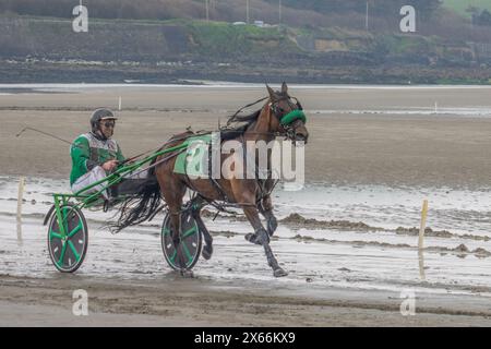 Harness-Rennen am Strand in Harbour View, Kilbrittain, West Cork, Mai 2024 Stockfoto