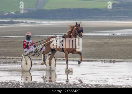 Harness-Rennen am Strand in Harbour View, Kilbrittain, West Cork, Mai 2024 Stockfoto
