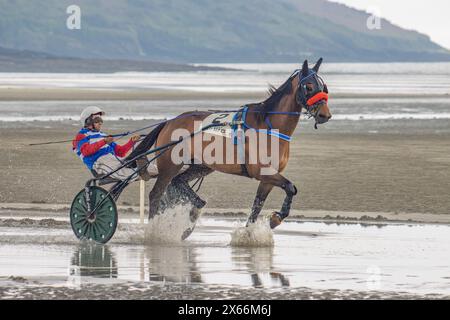 Harness-Rennen am Strand in Harbour View, Kilbrittain, West Cork, Mai 2024 Stockfoto