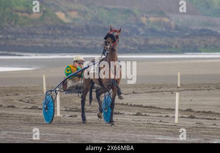 Harness-Rennen am Strand in Harbour View, Kilbrittain, West Cork, Mai 2024 Stockfoto