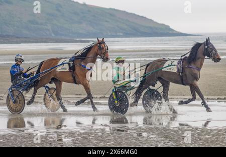 Harness-Rennen am Strand in Harbour View, Kilbrittain, West Cork, Mai 2024 Stockfoto
