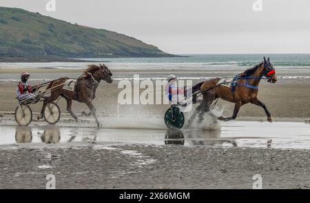 Harness-Rennen am Strand in Harbour View, Kilbrittain, West Cork, Mai 2024 Stockfoto