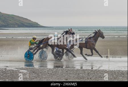 Harness-Rennen am Strand in Harbour View, Kilbrittain, West Cork, Mai 2024 Stockfoto