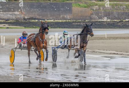 Harness-Rennen am Strand in Harbour View, Kilbrittain, West Cork, Mai 2024 Stockfoto