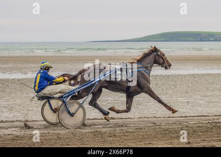 Harness-Rennen am Strand in Harbour View, Kilbrittain, West Cork, Mai 2024 Stockfoto