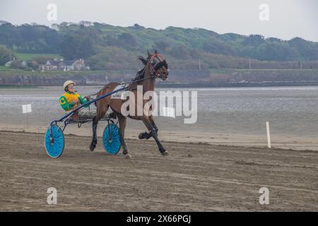 Harness-Rennen am Strand in Harbour View, Kilbrittain, West Cork, Mai 2024 Stockfoto