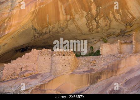 Anasazi Ruinen, Monarch Höhle, Butler waschen, in der Nähe von Bluff, Utah, USA Stockfoto