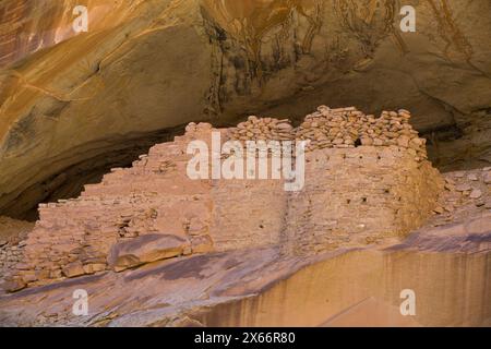 Anasazi Ruinen, Monarch Höhle, Butler waschen, in der Nähe von Bluff, Utah, USA Stockfoto