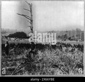 Schauplatz erfolgloser Anklagen gegen Konföderierte Verankerungen an der Kreuzung alter und neuer Court House Straßen, Civil war Photos 1861-1865 Stockfoto