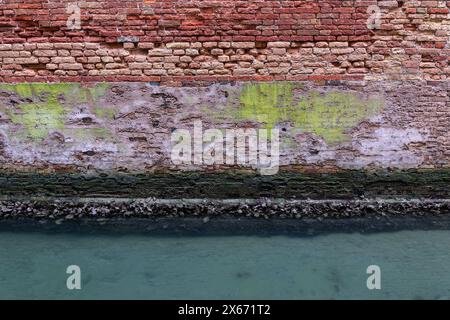 Alte verwitterte Wand Hintergrund am Kanal in Venedig, Italien, Grunge aussehende Ziegelstruktur mit abblätterndem Putz, Moos und Muscheln am Rand des Wassers. Stockfoto