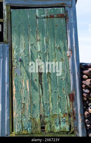 Alte Holztür mit abblätternder grüner Farbe auf einem alten Blechschuppen mit einem kleinen Fenster, das sein Glas verloren hat - ein Unterschlupf in einem Obstgarten in Sussex, England. Stockfoto