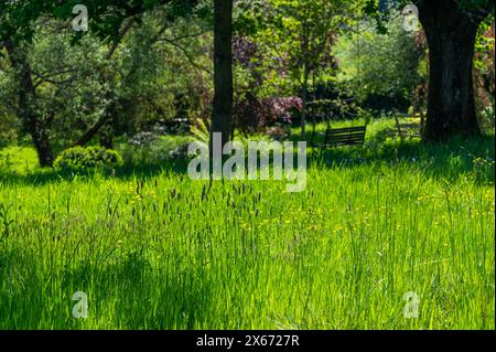 Ein abgeschiedener, schattiger Schaukelsitz, der an einer Eiche hängt, auf einer grünen, sonnigen, grasbewachsenen Wiese auf einer Farm in Sussex. Stockfoto