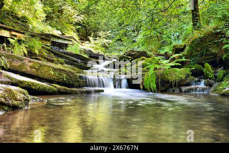 St. Nectan's Glen Wasserfall in Cornwall Stockfoto