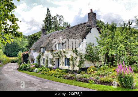 Reetdachhaus in Dunster, Somerset Stockfoto