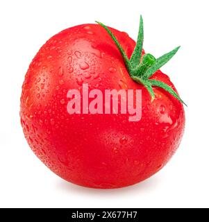 Frisch gewaschene rote Tomaten bedeckt mit Wassertropfen auf weißem Hintergrund. Stockfoto