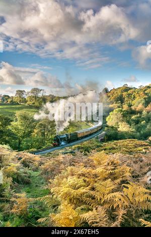 Dampflokomotive bei Darnholme auf der North Yorkshire Moors Railway Stockfoto