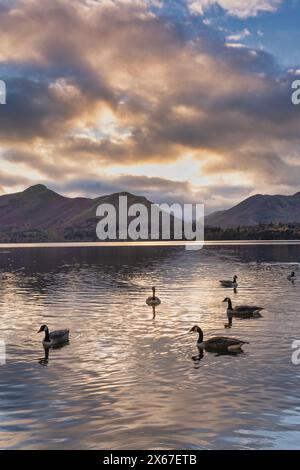 Sonnenuntergang über Catbells von Keswick, Lake Derwent Water, Lake District, England Stockfoto