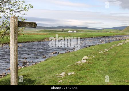 Pennine Way Wanderweg Zeichen, über die wilde Blume Mähwiesen an Cronkley Brücke, Wald-in-Teesdale, County Durham, UK Stockfoto