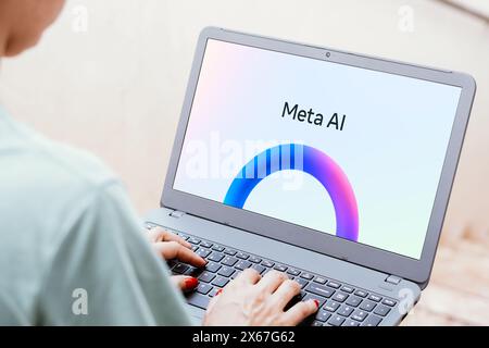 Brasilien. Januar 2024. In dieser Abbildung wird das Meta AI-Logo auf einem Laptop-Bildschirm angezeigt. (Credit Image: © Rafael Henrique/SOPA Images via ZUMA Press Wire) NUR REDAKTIONELLE VERWENDUNG! Nicht für kommerzielle ZWECKE! Stockfoto