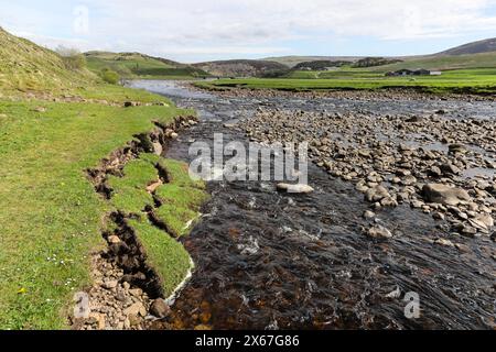 Ufererosion am Zusammenfluss von River Tees und Harwood Beck, verursacht durch Hochwasser nach starken Regenfällen, North Pennines, County Durham, Großbritannien Stockfoto