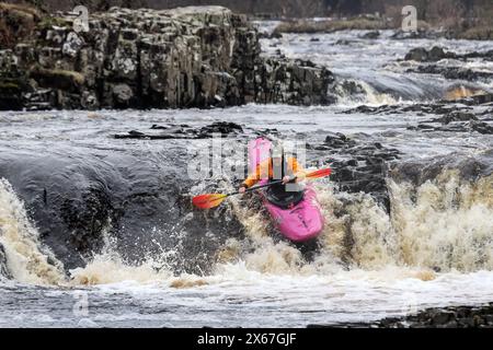 Kajakfahrer, der die Stromschnellen oberhalb der Low Force auf dem Fluss Tees, Upper Teesdale, County Durham, Großbritannien, hinabfährt Stockfoto