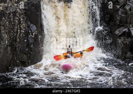 Kajakfahren auf einem der Wasserfälle bei Low Force on the River Tees, Upper Teesdale, County Durham, Vereinigtes Königreich Stockfoto