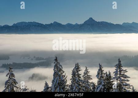 Blick von der Burgruine Eisenberg auf die Allgäuer Alpen, Allgäu, Schwaben, Bayern, Deutschland Stockfoto