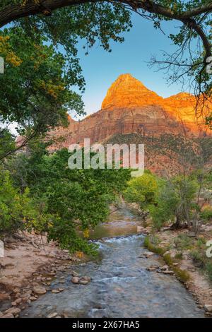 Blick vom Virgin River zum Watchman Mountain, Zion National Park, Colorado Plateau, Utah, USA Stockfoto