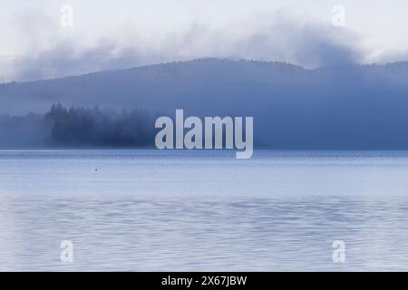 Morgenstimmung am See, Nebel heben, Deutschland Stockfoto