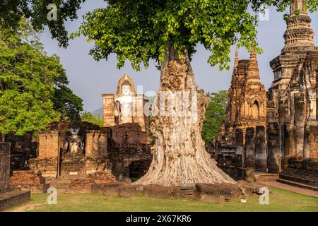 Buddha-Statuen im zentralen buddhistischen Tempel Wat Mahathat, UNESCO-Weltkulturerbe Sukhothai Historical Park, Thailand, Asien Stockfoto