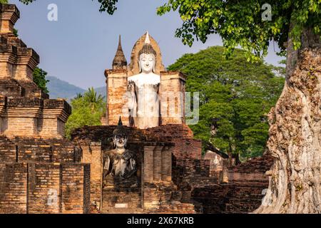 Buddha-Statuen im zentralen buddhistischen Tempel Wat Mahathat, UNESCO-Weltkulturerbe Sukhothai Historical Park, Thailand, Asien Stockfoto