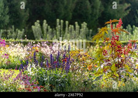 Blumen im Rokoko Hofgarten des Schlosses Veitshöchheim, Unterfranken, Bayern, Deutschland Stockfoto