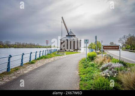 Der historische Holzverladekran in Oestrich, Rheingau, wurde von Kranmännern mit Fuß- oder Treträdern betrieben Stockfoto