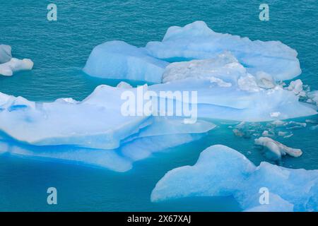 El Calafate, Patagonien, Argentinien, Perito Moreno Gletscher im Los Glaciares Nationalpark. Der Perito-Moreno-Gletscher ist Teil des patagonischen Eisfeldes Campo Hielo Sur, dem drittgrößten Süßwasserreservat der Welt. Stockfoto